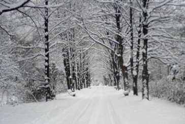 VINE CRĂCIUNUL! FIȚI BUNI!