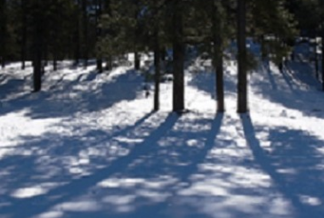 PERSONALITATEA – umbra care ne însoțește toată viața