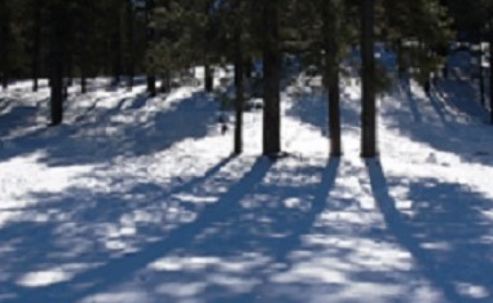 PERSONALITATEA – umbra care ne însoțește toată viața