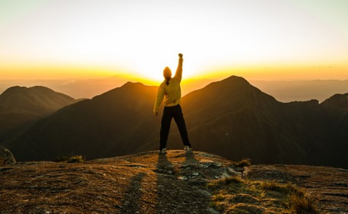 CURAJUL, PROFESIONALISMUL ȘI FERMITATEA