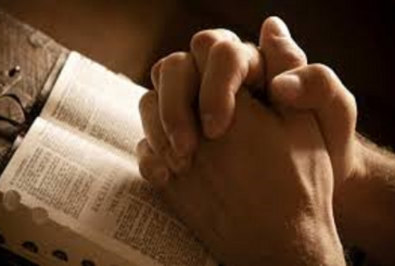 DESPRE IUBIRE ȘI CĂLDURĂ SUFLETEASCĂ