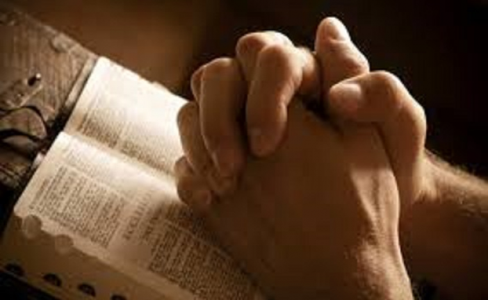 DESPRE IUBIRE ȘI CĂLDURĂ SUFLETEASCĂ